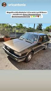 Image result for Luci Di Bosco 2005 Alfa-Romeo