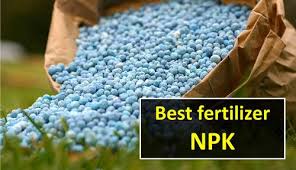 Check spelling or type a new query. What Is The Best Npk Ratio For Growing Plants Garden Myths