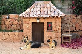 Dog houses are very simple structures (or at least, they can be). 5 Ideas For Decorating A Dog House Mega Bored