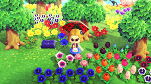New horizons has its hooks in me. Animal Crossing New Horizons Flowers Guide How To Get All Flower Breeds