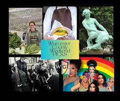 Image result for turtleboy worcester