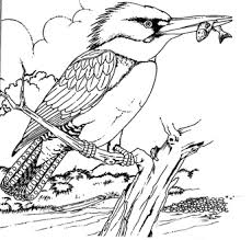 There, your children will see many kinds of birds that will be able to enrich their knowledge. Kingfisher Scene Bird Coloring Pages Bird Drawings Animal Coloring Pages