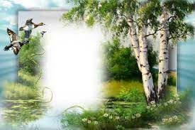 Risultati Immagini Per Cornici Per Locandine Gratis Photo Frames Background Photo Frame