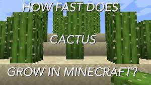 Wheat needs water within 4 blocks and light, and reeds need water adjacent to them. How Fast Does Cactus Grow In Minecraft Youtube