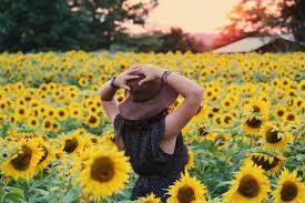 By online search volume and by both wholesale and retail sales revenue in every state. In Season 5 Most Popular Flowers For Summer Orchid Republic