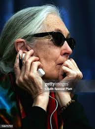 194 Jane Platt Stock Photos, High-Res Pictures, and Images