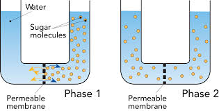 The Chemistry Of Milk Dairy Processing Handbook