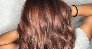 Check spelling or type a new query. Dark Rose Gold Hair Your Complete Guide To The Trendiest New Hair Color