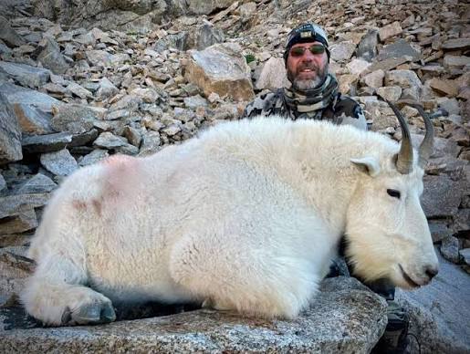 Colorado Mountain Goat Hunts - AEI Outfitter