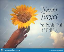 Inspirational Motivational Quote Never Forget The Hands That Raised You With Background Of Blue Sky And Beautiful Sunflower Stock Image Image Of Word Nature 166135433