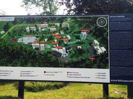 Felix Infobord Picture Of Lacul Cu Nufer Baile Felix Tripadvisor