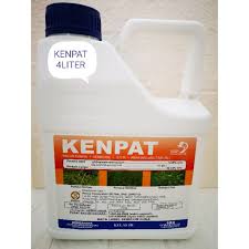 Namun terkadang penggunaan racun rumput ini akan terasa menguras kantong apabila dilakukan secara terus menerus, apalagi untuk mereka yang memiliki lahan cukup luas. Kenpat Price Promotion May 2021 Biggo Malaysia
