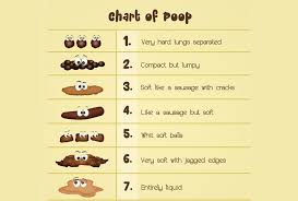 Learn Even More About Your Poop With The Bristol Stool Scale