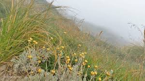 You could walk on palmetto st. Saint Augustine Beauty Of The Soul Ontofood