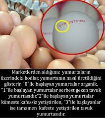 Fatmasuel Adli Kullanicinin Bilgi Panosundaki Pin Bilgi Biliyor Muydunuz Bilgi Karti