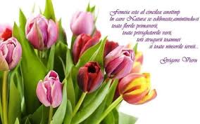 Felicitari de la multi ani cu numele lucia. Pin By Lucia Dolinta On La Multi Ani Plants 8 Martie