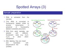 gpgcm abbottabad sajid khan introduction to microarray data