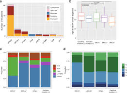 If you inherit a change, or mutation, in how do brca1 and brca2 increase your risk for cancer? Genetic And Clinical Landscape Of Breast Cancers With Germline Brca1 2 Variants Communications Biology