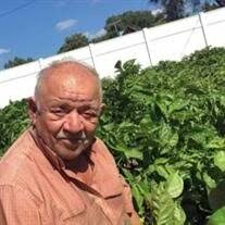 Feliciano "Fico" Arroyo Obituary