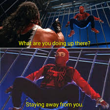 Spiderman Meme Template Album On Imgur