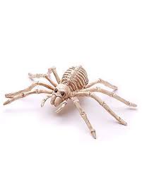 Mini 8 Halloween Props Scary Spider Decorations Halloween Skeleton Decorations
