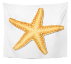 Starfish Starfish Vector Wall Art Hanging Tapestry 51x60 Inch Starfish Clipart Starfish Painting Starfish