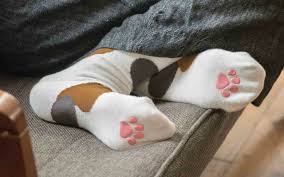 Great savings free delivery / collection on many items. Turn Your Feet Into Squishy Cat Paws With These Japanese Kitty Socks Grape Japan