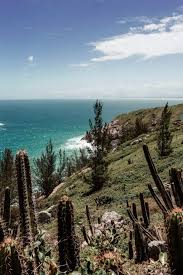 Explore an array of san jose del cabo, mx vacation rentals, including houses, private villas & more bookable online. Cabo San Lucas Vs San Jose Del Cabo Travel This Rare Earth
