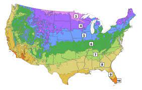 Check spelling or type a new query. Zone 6 Plants Find The Best Plants For Hardiness Zone 6 Breck S