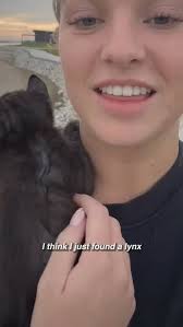 No one has any idea where Dobby got his unique look from? 🤔