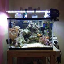 Maybe you would like to learn more about one of these? Anbuca Wood D I Y Barcket Lampu Aquarium Nano Tank Facebook