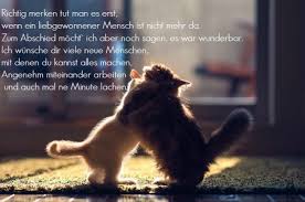 20 zitat abschied kollege jobwechsel soleatablao that was zitate abschied kollege arbeitsplatzwechsel that was zitate abschied kollege arbeitsplatzwechsel hopefully its useful and you like it. Spruche Abschied Kollege Arbeitsplatzwechsel Spruche Zum Abschied Kollegen Abschiedsspruch Kollegin Abschiedsspruche