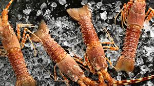 نتیجه جستجوی لغت [lobster] در گوگل