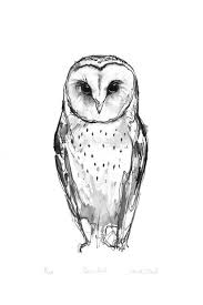 Image Result For Minimalist Owl Tattoo Owls Drawing Barn Owl Tattoo Owl Tattoo Design