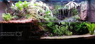 Paludarium Construction Photo Journal Dendroboard Planted Aquarium Biotope Aquarium Aquascape Aquarium