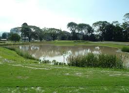 Established in 1893, it is one of the oldest golf clubs in asia. Royal Selangor Golf Club Constructed Wetlands Wetlands International Malaysia