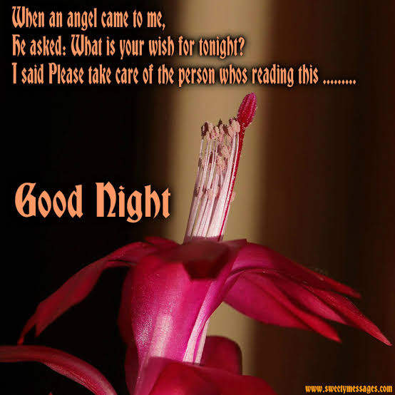 Image result for good night message"