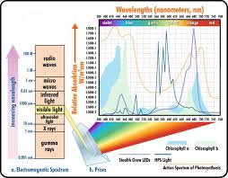 Led Intensity Measurements Lumens And Light Intensity