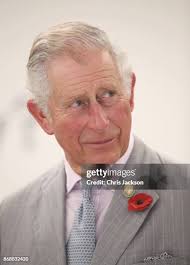 1,205 Chris Dyson Stock Photos, High-Res Pictures, and Images