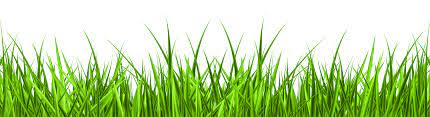 Grass Png Clip Art Image Gallery Yopriceville High Quality Images And Transparent Png Free Clipart Art Images Clip Art Free Clip Art