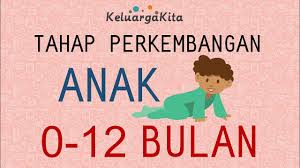 Tahap Perkembangan Anak 0 12 Bulan Youtube