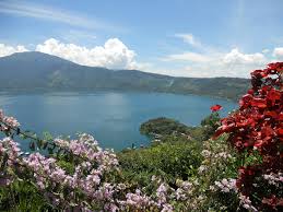 The smallest country in central america, el salvador suffers from persistent low levels of growth and poverty reduction in the country has been moderate. El Salvador Rsf