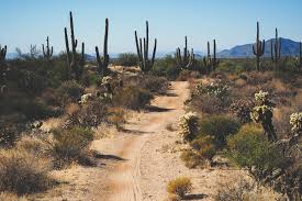 Quinn simmons' suspension lifted diego moreno needed thousands of thorns removed after he crashed into a cactus gps navigation app waze have seen a 51% reduction in driven kilometres since the start of. The Fool S Loop Arizona Bikepacking Com