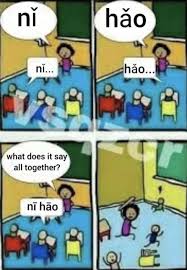 Chinese Memes Students Of Chinese Take Note Ltl Mandarin School Funny Chinese Memes Funny Chinese Chinese Meme