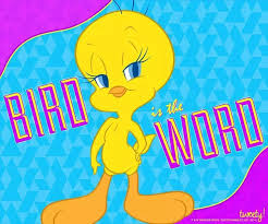 Bird Bird Bird Bird Is The Word Tweety Bird Bird The Word Tweety Bird Quotes Tweety Sylvester The Cat