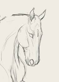 Wie Man Pferdegesichter Zeichnet Animal Drawing Wie Man Pferdegesichter Zeichnet Animal Drawing In 2020 Easy Horse Drawing Horse Art Drawing Horse Drawings