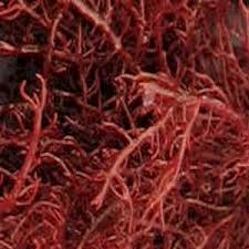 255 192 203 merah muda terang: Lebih Dekat Mengenal Rumput Laut Gracilaria Kompasiana Com