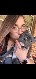 F O U N D!!!********* My grandparents Frenchie got out in the area of 34th  & Enler (also known as 179) sometime this afternoon! She has