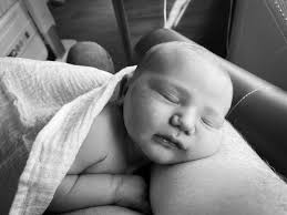 Callan Green ACS NZCS