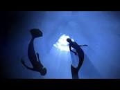 Image result for history channel of findings of a mermaid